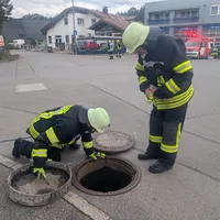 1 (2).jpg